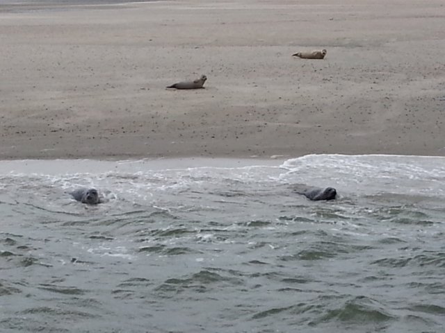 HWK Texel 125.jpg